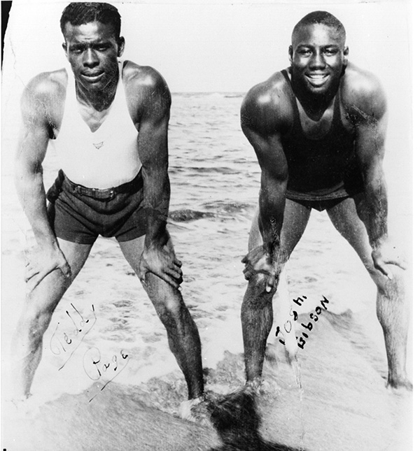 photo from Sandlot Seasons